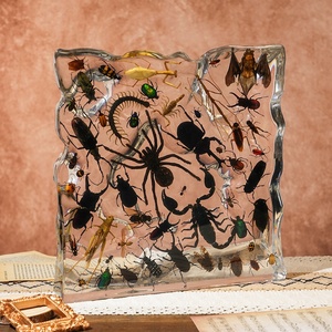Bộ sưu tập nghệ thuật tuyệt vời gồm 100 tượng côn trùng bằng nhựa <span class=keywords><strong>resin</strong></span> kích thước lớn 50 loại khác nhau, chứa 100 con côn trùng thật, khối nhựa <span class=keywords><strong>resin</strong></span> trong suốt cao cấp - Product Image 1