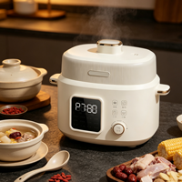 Cuisinière à pression électrique multifonctionnelle pour la maison, avec cuve intérieure en acier inoxydable, pour faire des soupes, du porridge et du riz, cuisinière à pression intelligente