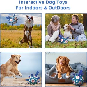 <b>Interactive</b> <b>Dog</b> <b>Toys</b> Pet Water <b>Toy</b> <b>Dog</b> Ropes <b>Toys</b> Soccer Ball with Straps - Product Image 4