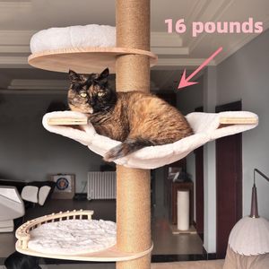 Árbol rascador de madera para gatos al por mayor, estructura de escalada interior de madera para gatos - Product Image 5
