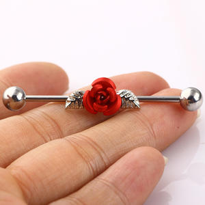 Bon marché Prix 5mm Boules Extrémités Rouge Rose <span class=keywords><strong>Sur</strong></span> Acier Chirurgical 316L Industrial Barbells Boucles D'oreilles 2023 - Product Image 5
