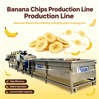 Automatische bananenplakjes productielijn, industriële apparatuur voor het snijden, reinigen en verwerken van bananen, machine voor het maken van fruitchips