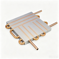 Plaque de refroidissement liquide en aluminium avec tube de cuivre intégré pour dissipateur de chaleur de chargeur de batterie de véhicule électrique à énergie nouvelle et onduleur