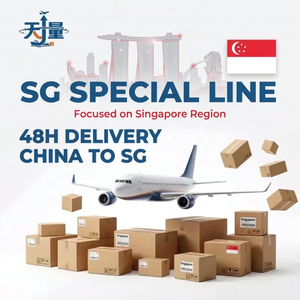 중국에서 싱가포르까지 48시간 배송 배송 대행사 |   빠른 통관 서비스 SG |   전자상거래 소형 소포 통합 서비스 - Product Image 1