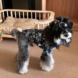 JM-Nueva llegada Snowy Retriever y camisa con estampado de gran danés para perros-Ropa para perros - Product Image 2