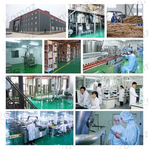 Poudre pré-entraînement Amaz pour adultes en gros, un complément premium qui stimule le métabolisme énergétique et aide à la récupération musculaire. - Product Image 6