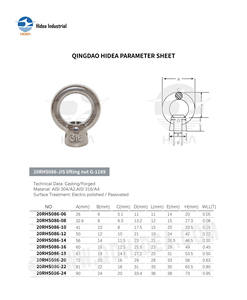 HIDEA Acier inoxydable 304 316 JIS G1169 Matériel de gréement robuste forgé électro-polissage passivé Écrou de levage à anneau Écrou à œillet - Product Image 6