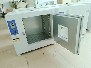 Benchtop Electric Blast Drying Oven Thermostatic Laboratory Equipment <strong>Incubator</strong> With Constant Temperature Control - Product Image 6