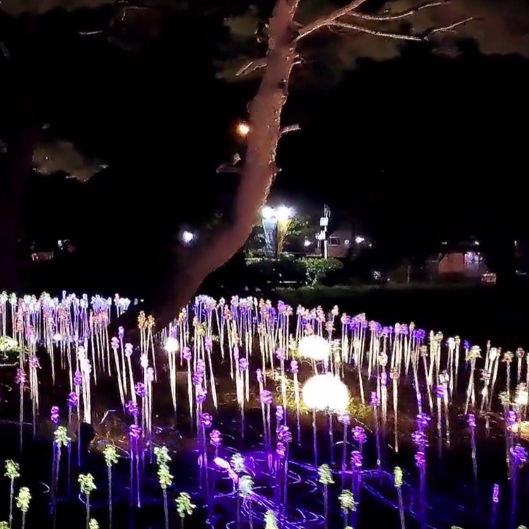 Night Garden Decoration Solar Outdoor Color Changing Optical Fiber Light