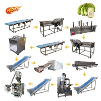 Kwaliteitsborging RVS Plantain Groente Fruit Poeder Verwerkingsmachine Automatisch Hoge Efficiëntie 200kg/u CE