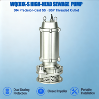Pompa Celup Limbah Baja Tahan Karat WQ(D)X-S High Head Tekanan Rendah OEM BSP Thread Outlet 304 Pompa Pengangkat Air Limbah