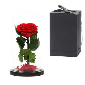 Luxo presentes de dia dos namorados rosas preservada em cúpula de vidro preto