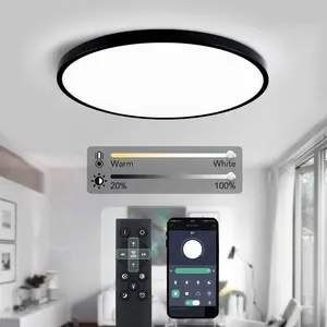 Ultra Thin Intelligent Home Lighting 48W 500mm APP Remote Control Switch Controlled Smart Led Ceiling Lights For Indoor Lighting