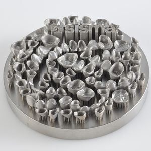 Riston D-120 slm laser 3d imprimante métal 3d dentier imprimante industrielle métal - Product Image 3