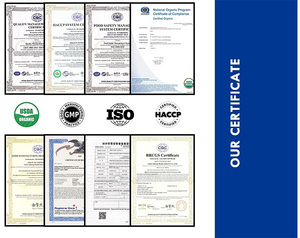 OEM/ODM Private Label Proteína Abacaxi Em Pó Whey Opções Baseadas em Plantas Suporta Crescimento Muscular, Recuperação de Peso - Product Image 6