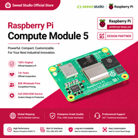 Módulo de Cómputo Oficial Raspberry Pi 5 - 4GB RAM, 32GB EMMC, Wi-Fi 2.4/5.0GHz 5.0 (CM5104032) Paquete con Sistema Operativo Linux CM5