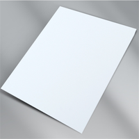 20*30cm 0.65mm Métal Artisanat Sublimation Photo Panneau Aluminium Plaque D'impression Blancs pour Sublimation