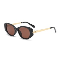 3607 Nouvelles Lunettes de Soleil Cat Eye UV400 Tendance Haut de Gamme pour Hommes et Femmes, Design Luxe, Style Rétro Universel, Meilleures Ventes, Gafas De Sol