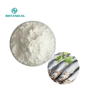 B.C.I vendita calda <span class=keywords><strong>di</strong></span> <span class=keywords><strong>olio</strong></span> <span class=keywords><strong>di</strong></span> pesce <span class=keywords><strong>di</strong></span> <span class=keywords><strong>ostrica</strong></span> estratto <span class=keywords><strong>di</strong></span> Aguage in polvere EPA DHA Omega 3 in polvere - Product Image 4