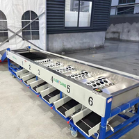 Machine de tri et de calibrage des fruits et légumes, pour usines de traitement des noix, modèle multifonctionnel 220/380V 750W