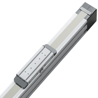 Actuador Lineal de Correa de Alta Rigidez MTG80, Carga de 80-100 kg, Accionamiento Lineal de Precisión para Automatización Industrial