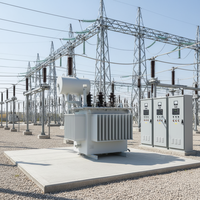 Transformateur de distribution immergé dans l'huile à enroulement en cuivre 11/0,415 kV 630 kVA S13-M pour usage commercial et industriel IEC 60076
