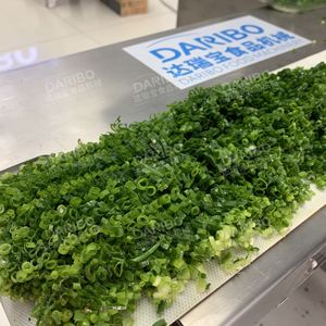 Trancheuse à convoyeur DRB-120 |   Spécialisé dans la découpe de tripe de porc cuit et de bœuf à vendre - Product Image 5