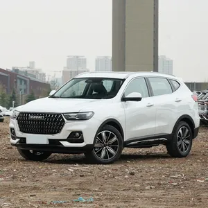 工厂定制高品质3D TPE汽车地板垫适用于GWM Haval H6 Jolion 2021