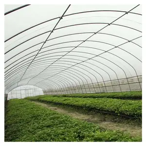 multi span commercial greenhouse