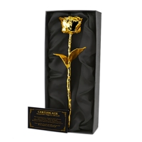 Rosa Natural Chapada en Oro de 24K Hecha a Mano, Regalo Ecológico y Duradero - 100% Natural, Edición Navideña Directo de Fábrica
