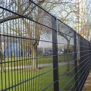 RAL 7016 분말 코팅 더블 와이어 울타리 용접 와이어 메쉬 펜싱 656 / 868 2D 와이어 메쉬 울타리 - Product Image 2