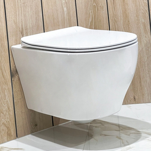 WC <span class=keywords><strong>suspendu</strong></span> rétro en céramique vitrifiée avec <span class=keywords><strong>bidet</strong></span> intégré, pour écoles, couleur fraîche - Product Image 2
