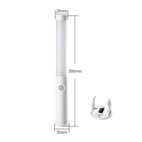 Veilleuse LED Rechargeable Intérieur Mural Détecteur de Mouvement Cabinet Aimant Base 3 Modes pour Salon Design Minimaliste