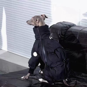Manteau matelassé OEM pour chien, combinaison d'hiver intégrale à col montant et 4 pattes avec patch réfléchissant pour chien de type Greyhound <span class=keywords><strong>italien</strong></span> et <span class=keywords><strong>Whippet</strong></span> - Product Image 2