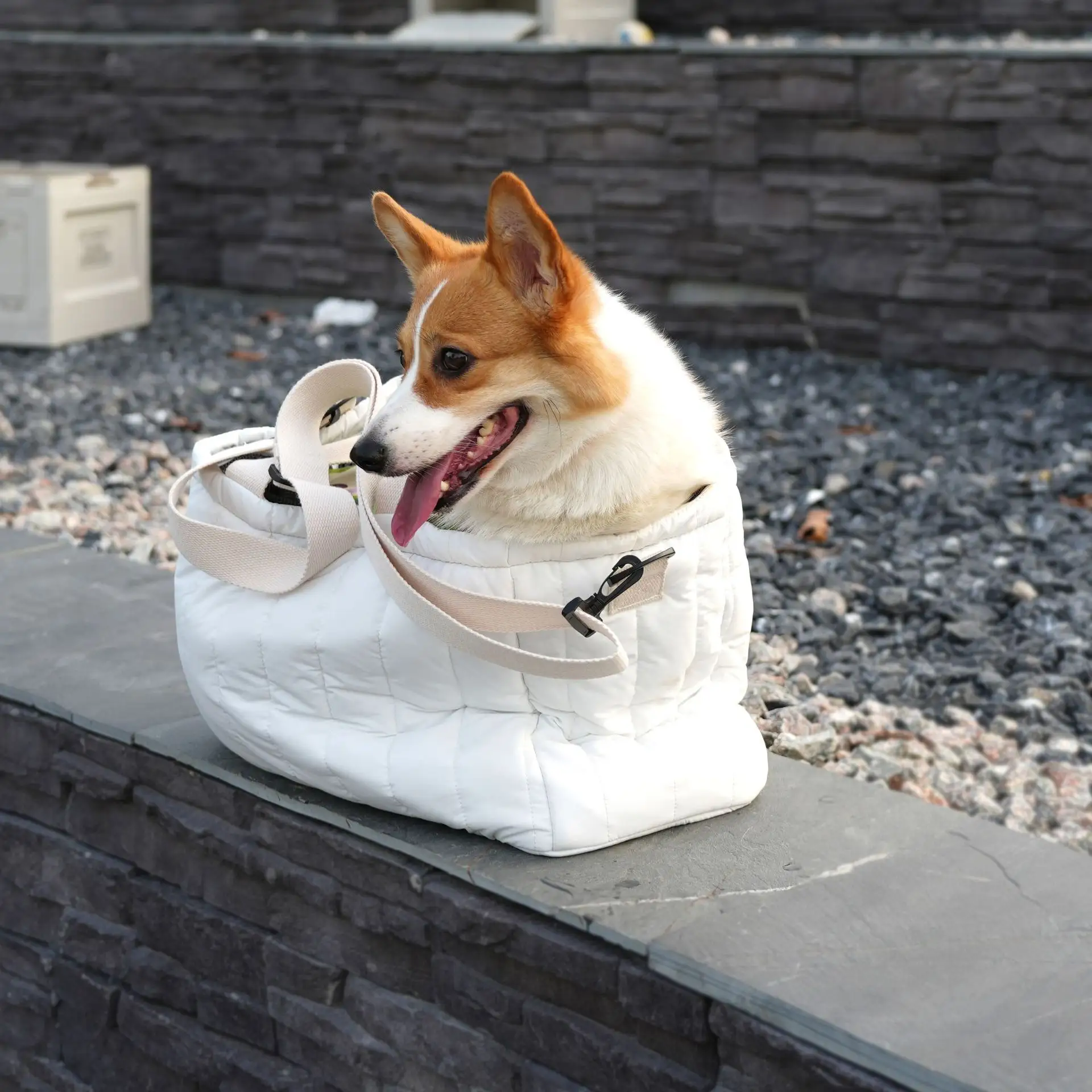 Индивидуальная водонепроницаемая сумка для прогулок для собак, сумка через плечо, переноска для собак, переноска для домашних животных