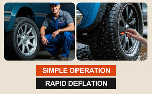 Hırs ayarlanabilir otomatik durdurma lastik deflatörü vana kiti (10-30 PSI) lastik hava aşağı aracı Offroad 4x4 vida-on otomatik lastik deflatörü - Product Image 4