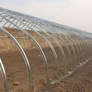 Оптовая продажа, одиночная оцинкованная стальная конструкция, полиэтиленовая пленка, сельскохозяйственные теплицы для растений клубники - Product Image 1