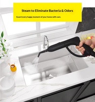 Europäischer Standard Mehrzweck-Dampfreiniger 558 2000W 701-900ml Wassertank ABS-Bodenplatte Gelb Rot Handgerät 120-Minuten Laufzeit