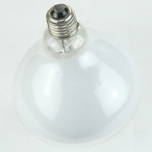 Accessoires pour éclairage de <span class=keywords><strong>piscine</strong></span> <span class=keywords><strong>Ampoule</strong></span> 300W/12V <span class=keywords><strong>Ampoule</strong></span> <span class=keywords><strong>halogène</strong></span> basse tension 12V <span class=keywords><strong>Ampoule</strong></span> 300W/12V - Product Image 4