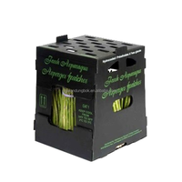 Conteneur / Boîtes d'expédition en PP ondulé recyclables et personnalisables pour boissons, bière, usage industriel, pliables / repliables