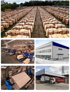 Cina lavorazione del legno di alta qualità legno duro eucalipto pellicola rivestita in compensato cassaforma in calcestruzzo - Product Image 6