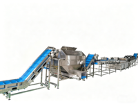 Usine industrielle automatique de fabrication de poudre d'ail et d'oignon, moteur PLC, ligne de traitement de farine d'oignon 500-1000 kg/h, acier inoxydable