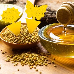 Grosir efektif tidak beracun penangkap serangga kuning lengket lem kuat perangkap lalat dan tawon untuk penggunaan taman dalam ruangan - Product Image 2