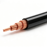 Cable de Transmisión de Energía Aéreo de Alta Tensión de Cobre JKVJ Personalizado, con Aislamiento de PVC, Resistente a la Intemperie, para Construcción