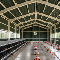 Poulailler préfabriqué en acier robuste pour ferme avicole de jardin, bâtiment métallique haute résistance, abri durable