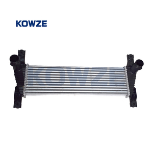 Refroidisseur intermédiaire de moteur de pièces automobiles pour Ford Ranger 2012- 5271339 - Product Image 1