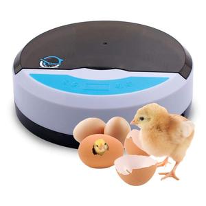 Trung Quốc Nanchang HHD Thương Hiệu Parrot Trứng Màu Mỡ Nở Máy Mini Chick Brooder Lồng Ấp YZ9-9 - Product Image 1
