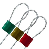 Sello de Cable de Alta Resistencia DX206C, ABS+Acero, Diámetro de Cable de 5.0mm, para Puerta de Contenedor de Camión, Números de Serie Personalizados Impresos con Láser, para Envío