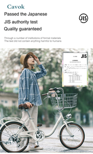 <span class=keywords><strong>Bicicleta</strong></span> Urbana de 6 Velocidades de Acero con Alto Contenido de Carbono para Hombres y Mujeres, <span class=keywords><strong>Bicicleta</strong></span> Urbana para Adultos con Ruedas de 20 Pulgadas de Acero con Alto Contenido de Carbono - Product Image 3