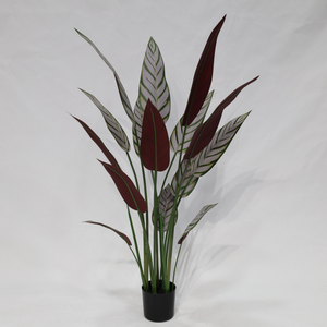 Pianta Artificiale Calathea <span class=keywords><strong>Majestica</strong></span> White Star Staccabile Realistica per Decorazione Interna di Casa, Ufficio e Hotel - Product Image 2